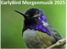 Early Bird Morgenmusik (1/1)